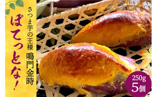 [aَqXC[g|egĂႢ܂] ۂĂƂȁI250g×5 [َqi { s] [0834]{s14000َqEXC[c̑ mَq