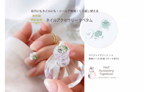 lC ANZT[ ^y^ yhbgO[ 1{pV[30 `bv V[bMARNA TAPETUM ACCESSORY { s [2096]{s25000ߗށEiEH|iANZT[