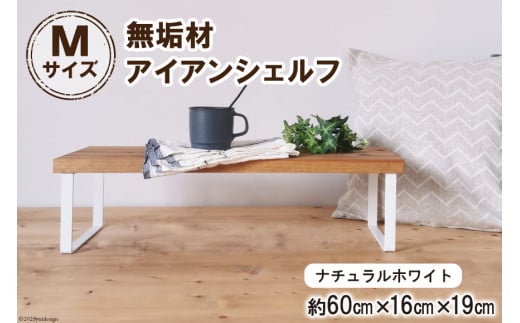 I CނƃACÃVFt i`zCg M60cm 60cm×16cm×s19cm ibV쏊 { s Ƌ CeA VFt Au CI I [ { [0875]