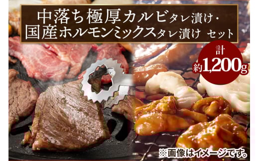 B (Y) ɌJr^Ђ400gEYz~bNX^Ђ(800g)ZbgbB Y  Jr Ɍ z z~bNX [2205]{s29000