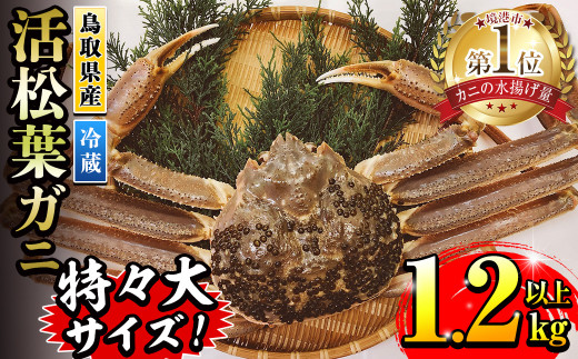 <先行予約受付中!11月中旬〜3月中旬発送予定><期間限定>活松葉ガニ 特々大 1.2kg以上【sm-BE003】【川口商店】鳥取県境港市110000魚介・海産物カニ