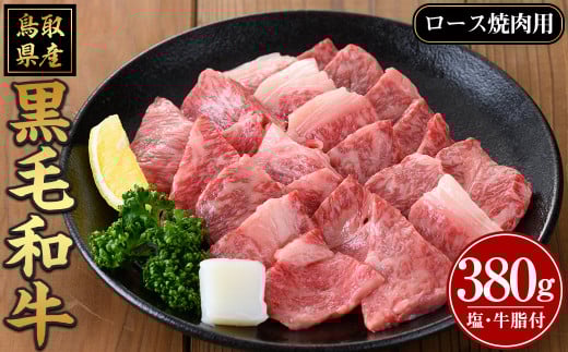 鳥取黒毛和牛ロース焼肉用(380g)【sm-AP006】【いろは精肉本店】鳥取県境港市32000肉牛肉