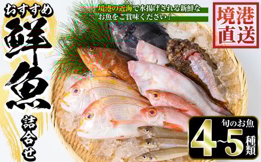 <平日着><7〜8月・年末年始配送不可>おすすめ鮮魚詰め合わせ(4〜5種類)【sm-AA003-A】【いたくら】鳥取県境港市19000魚介・海産物鮮魚