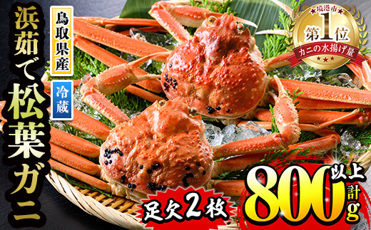 <月〜木着※指定日不可><11月中旬〜2月末発送予定>浜茹松葉ガニ足欠(2枚/計約800g以上)【sm-BE001-C】【川口商店】鳥取県境港市30000魚介・海産物カニ