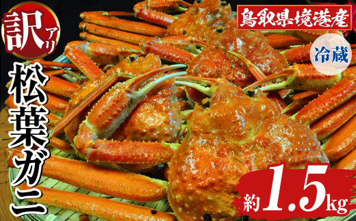 <11月下旬〜12月中旬発送予定><平日着※指定日不可><訳あり・足欠け>鳥取県境港産 訳ありボイル松葉がに(1.5kg前後・3〜4匹/足2本程度欠)【sm-BN003-A】【三光水産】鳥取県境港市50000魚