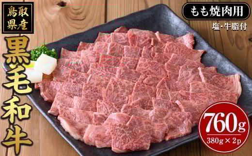 鳥取黒毛和牛もも焼肉用(計760g)【sm-AP008】【いろは精肉本店】鳥取県境港市23000肉牛肉