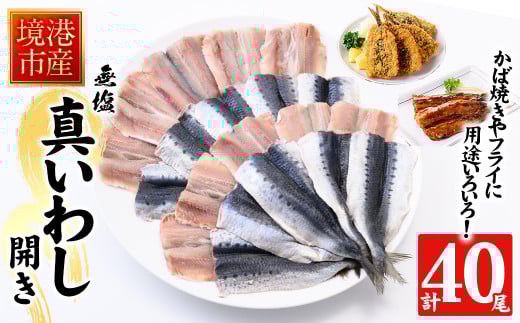 境港産 無塩いわしひらき(計40尾)【sm-CD002】【羽根】鳥取県境港市12000魚介・海産物