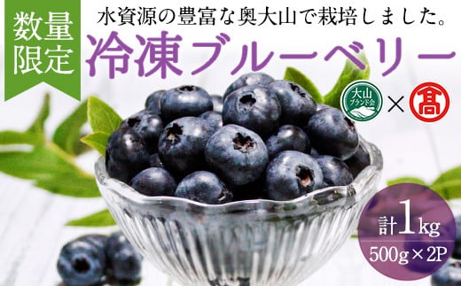 <数量限定>冷凍ブルーベリー(500g×2P・計1kg) 【T-BI4】【大山ブランド会】鳥取県境港市19000果物・フルーツその他 果物・フルーツ