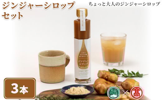 ジンジャーシロップセット(3本)【T-BF10】【大山ブランド会】鳥取県境港市26000調味料・油