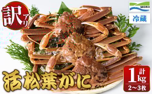 <11月中旬〜12月上旬配送予定><訳あり・足欠け>鳥取県産活松葉がに(1kg・2〜3枚)【sm-AM007】【モリイ食品】鳥取県境港市50000魚介・海産物カニ