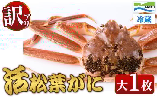 11{`2{z\聄󂠂E挧Yt(1)ysm-AM009zyCHiz挧`s70000ECYJj