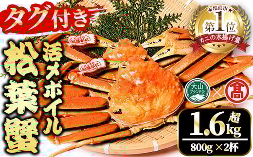 <土日祝着※指定日不可><2025年11月〜2026年2月下旬発送予定>【タグ付き】活〆ボイル松葉蟹2杯セット(大・800g以上×2杯)【T-DT4-B】【大山ブランド会】鳥取県境港市250000魚介・海産物カニ