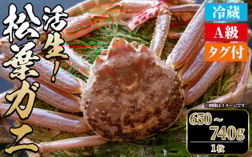 <土日祝着※指定日不可><期間限定><11月中旬〜3月中旬発送予定>松葉ガニ 活生(650〜740g・1枚)【sm-DD045-B】【Workplays】鳥取県境港市58000魚介・海産物カニ