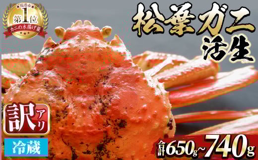 <土日祝着※指定日不可><期間限定・訳あり><11月中旬〜3月中旬発送予定>松葉ガニ 活生(約650〜740g/1枚)【sm-DD049-B】【Workplays】鳥取県境港市49000魚介・海産物カニ