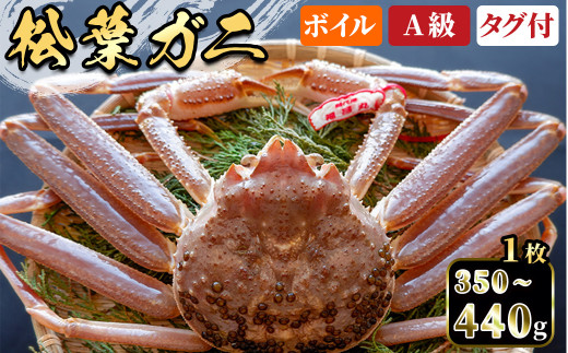 <土日祝着※指定日不可><期間限定><11月中旬〜3月中旬発送予定>松葉ガニ(350〜440g・1枚)【sm-DD050-B】【Workplays】鳥取県境港市32000魚介・海産物カニ