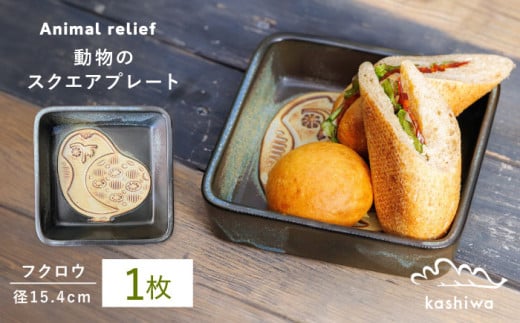 yˏāzXNGAv[g tNE yqz / ˏ Mtg M M p XNGA [BBAJ002]mˎs20000G݁EpiHEOX