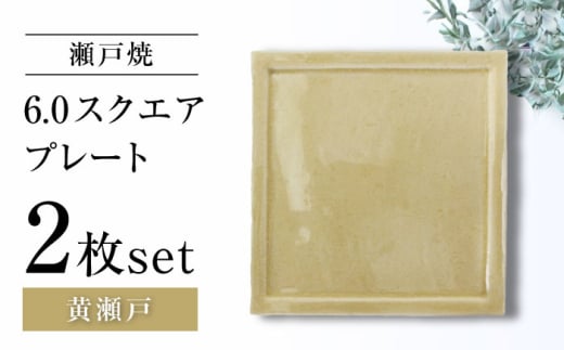 yˏāz6.0XNGAv[g  2Zbgy}ncN^Ёz [BBDV017]mˎs17000G݁EpiHEOX