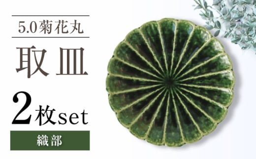 yˏāz5.0eԊێM D 2Zbg y}ncN^Ёz [BBDV020]mˎs17000G݁EpiHEOX