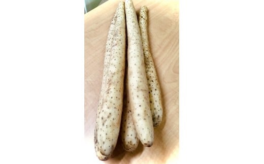 H-09 令和7年春掘り! ながいも 2Lサイズ5kg青森県六戸町13000野菜・きのこ大根・ニンジン・根菜類