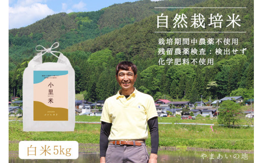 182 自然栽培コシヒカリ【夢あかり】(白米)未来へ笑顔をつなげる『小里米』長野県辰野町23000米・パン白米