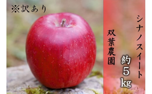 238 先行予約 ※訳あり りんご シナノスイート 5s 【双葉農園】長野県辰野町10000果物・フルーツりんご・梨