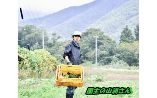 279 肥料なし・農薬不使用の栽培 お野菜詰め合わせボックス長野県辰野町12000野菜・きのこその他 野菜