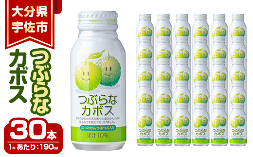 つぶらなカボスジュース(計5.7L・190ml×30本)かぼす ドリンク ジュース 果汁飲料 カボス 夏みかん つぶ入り 缶ジュース 特産品 大分県産【100500101】【大分県農業協同組合北部営農経済センター