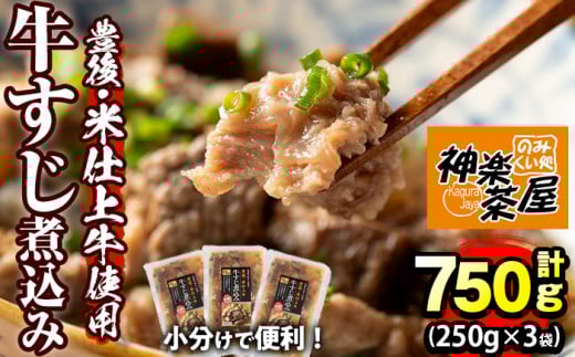 豊後米仕上げ牛 牛すじ煮込み(計750g・250g×3パック)牛肉 お肉 おかず おつまみ 小分け 簡単調理 時短 冷凍 惣菜【111100201】【神楽茶屋】大分県宇佐市14000鍋セット・総菜・加工食品総菜
