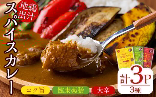 大分地鶏豊のしゃも地鶏出汁スパイスカレー3種セット(合計540g・180g×3パック)レトルト 簡単調理 ご当地カレー【112400201】【天峯ファーム】大分県宇佐市11000鍋セット・総菜・加工食品総菜