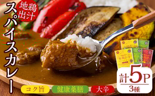 大分地鶏豊のしゃも地鶏出汁スパイスカレー(計900g・180g×5パック)レトルト 簡単調理 惣菜 時短 常温 ご当地カレー【112400301】【天峯ファーム】大分県宇佐市13000鍋セット・総菜・加工食品総