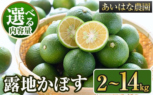 <内容量が選べる><先行予約受付中!2025年8月上旬〜2026年2月下旬ごろ順次発送予定>露地カボス(約2〜14kg) かぼす カボス 柑橘 特産品 大分県産【107100101】【あいはな農園】大分県宇佐市80