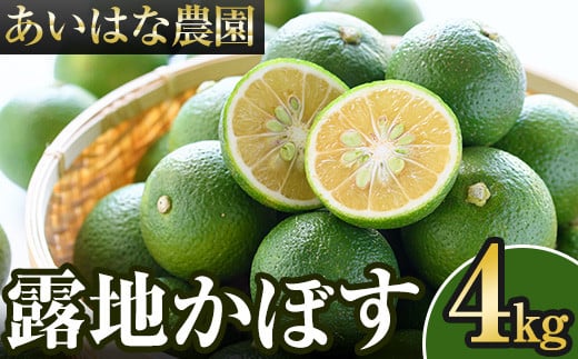 <先行予約受付中!2025年8月上旬〜2026年2月下旬ごろ順次発送予定>露地カボス(約4kg)かぼす カボス 柑橘 特産品 大分県産【107100301】【あいはな農園】大分県宇佐市15000果物・フルーツみかん