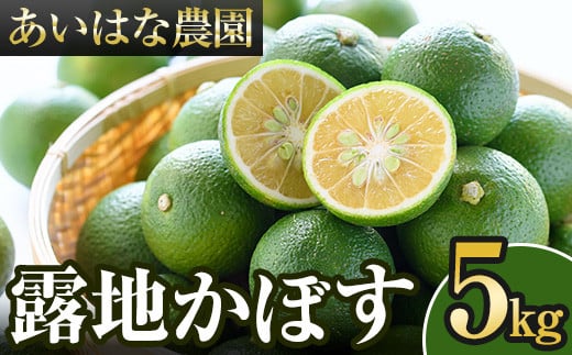 <先行予約受付中!2025年8月上旬〜2026年2月下旬ごろ順次発送予定>露地カボス(約5kg)かぼす カボス 柑橘 特産品 大分県産【107100401】【あいはな農園】大分県宇佐市17000果物・フルーツみかん