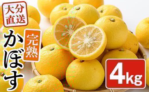 <先行予約受付中!2025年11月中旬より順次発送予定>完熟かぼす(約4kg)かんきつ 柑橘 期間限定 おもとの丘【111300401】【未来農林】大分県宇佐市12000果物・フルーツみかん・柑橘類