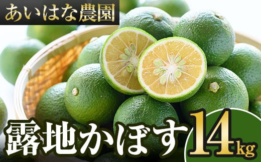 s\tI2025N8{`2026N2{돇\聄InJ{X(14kg)ڂ J{X k Yi 啪Yy107100901zy͂Ȕ_z啪Fs43000ʕEt[c݂