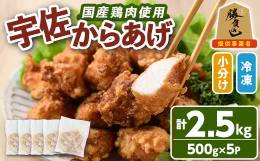 サクッとジューシー宇佐から揚げセット(計2.5kg・500g×5P)唐揚げ から揚げ 簡単 冷凍 惣菜 お弁当 おかず おつまみ 揚げるだけ セット 勝負めし【102000700】【サンセイ 安心院ソーセージ】大