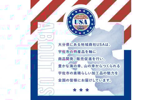 <期間限定>故郷のお祝いセット THE USA Box/DX(10品)詰め合わせ 手ごね味噌 黒煮豆 はちまんの恵 黒豆きな粉 高菜漬け 鶏めし ねぎねぎ団味噌 やせうま とりちん 宇佐勝ちえび ゆずぽん酢 宇