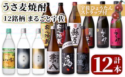 麦焼酎12銘柄 まるごと宇佐(合計12本・720ml×6本、900ml×6本) 酒 お酒 むぎ焼酎 麦焼酎 アルコール 飲料 常温 飲み比べ【101602401】【江戸心本館USA 未来ファクトリー事業部】大分県宇佐市60000酒