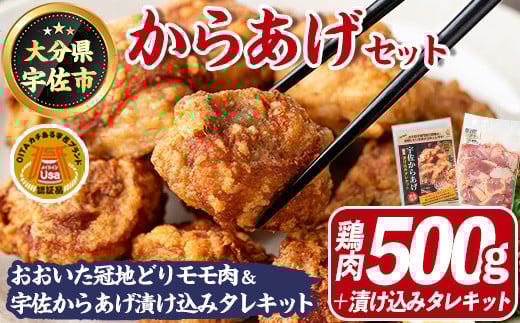 宇佐からあげ セットTHE USA Box/DX(鶏もも肉500g、宇佐からあげ漬け込みタレキット1P)鶏肉 鳥肉 唐揚げ おおいた冠地どり 地鶏 ブランド鶏【114003600】【一般社団法人 地域商社USA】大分県宇佐