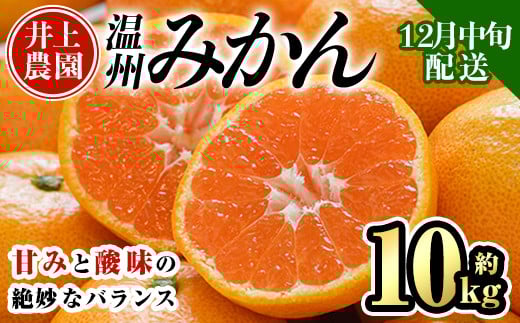 <先行予約受付中!12月中旬より順次発送予定>数量限定 大分県宇佐市産 温州みかん(約10kg)みかん ミカン 蜜柑 柑橘 フルーツ 果物 くだもの 果実 国産【103620500】【井上農園】大分県宇佐市