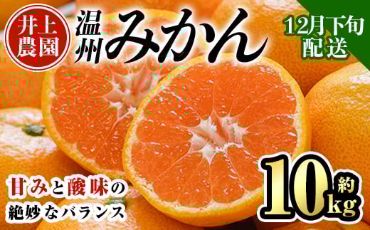 <先行予約受付中!12月下旬より順次発送予定>数量限定 大分県宇佐市産 温州みかん(約10kg)みかん ミカン 蜜柑 柑橘 フルーツ 果物 くだもの 果実 国産【103620600】【井上農園】大分県宇佐市