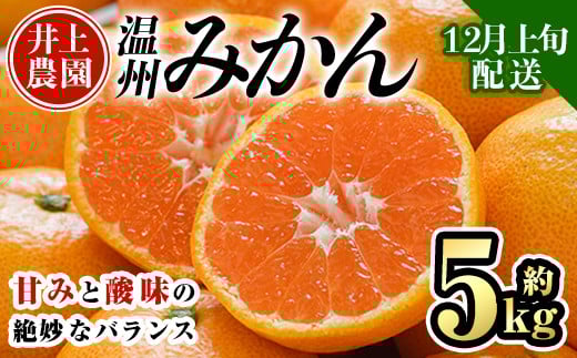 <先行予約受付中!12月上旬より順次発送予定>数量限定 大分県宇佐市産 温州みかん(約5kg)みかん ミカン 蜜柑 柑橘 フルーツ 果物 くだもの 果実 国産【103610400】【井上農園】大分県宇佐市7