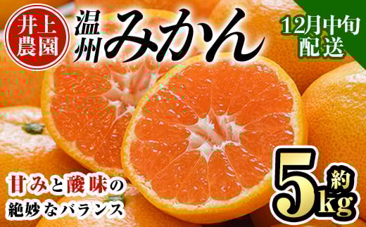 <先行予約受付中!12月中旬より順次発送予定>数量限定 大分県宇佐市産 温州みかん(約5kg)みかん ミカン 蜜柑 柑橘 フルーツ 果物 くだもの 果実 国産【103610500】【井上農園】大分県宇佐市7