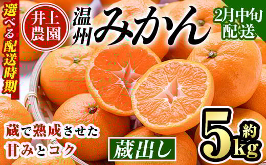 <2月中旬より順次発送予定>大分県宇佐市産 蔵出し みかん(約5kg)ミカン 蜜柑 柑橘 フルーツ 果物 くだもの 果実 国産 熟成【103640400】【井上農園】大分県宇佐市7000果物・フルーツみかん・