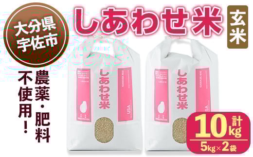 <先行予約受付中!11月以降発送予定>しあわせ米 玄米(計10kg・5kg×2袋) お米 10キロ 常温 常温保存 【101000602】【宇佐本百姓】大分県宇佐市48000米・パン玄米・雑穀米・もち米・餅