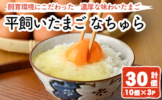 平飼い卵 なちゅら(計30個・10個×3P) 卵 玉子 鶏卵 卵かけご飯 玉子焼き【108800400】【カジワラファーム】大分県宇佐市12000卵・乳製品卵(鶏、烏骨鶏等)