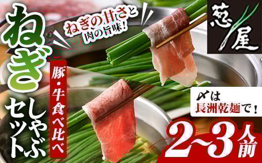 鉄板バル葱屋の ねぎしゃぶセット 豚・牛 食べ比べ (2〜3人前) ねぎしゃぶ しゃぶしゃぶ 豚肉 ぶた肉 ぶたにく 牛肉 お肉 鍋セット 乾麺 出汁 だし ポン酢 勝負めし 【110700600】【葱屋おおく