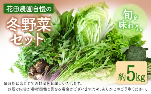 冬野菜セット 約5kg 花田農園《11月下旬-2月末頃出荷》白菜 大根 大葉春菊 里芋 キャベツ 水菜 リーフレタス ブロッコリー ロマネスコ 福岡県 鞍手郡 鞍手町福岡県鞍手町13000野菜・きのこそ
