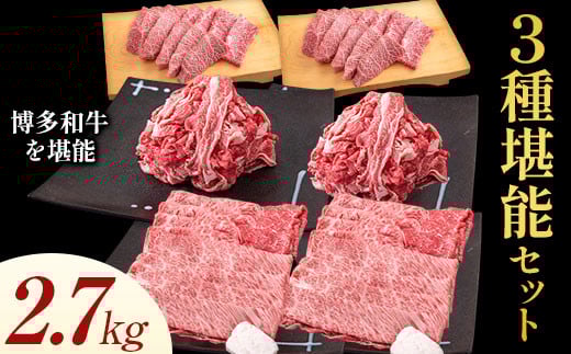 博多和牛 3種堪能セット 2.7kg 計6パック 《30日以内に出荷予定(土日祝除く)》福岡県鞍手町50000肉牛肉