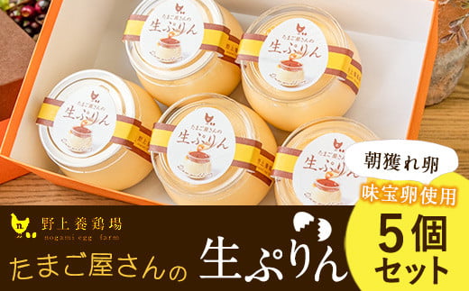 たまご屋さんの生ぷりん5個セット (150ml×5個) 野上養鶏場《60日以内に出荷予定(土日祝除く)》味宝卵使用 プリン福岡県鞍手町11000菓子・スイーツプリン・ゼリー